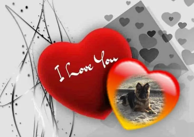 Condolence image of 19. Monate.........