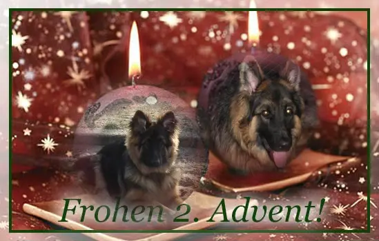 Condolence image of Dzień Dobry Misieńku❤️❤️❤️