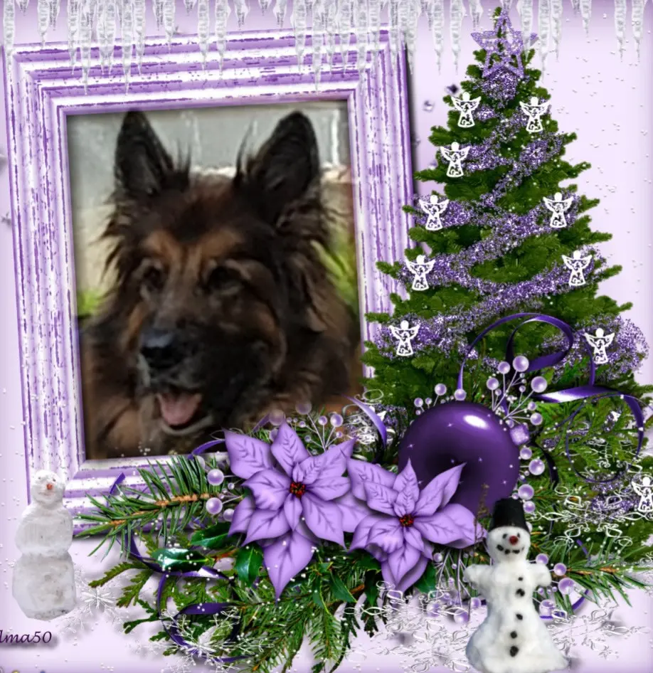 Condolence image of Dzień Dobry Misieńku❤️❤️❤️