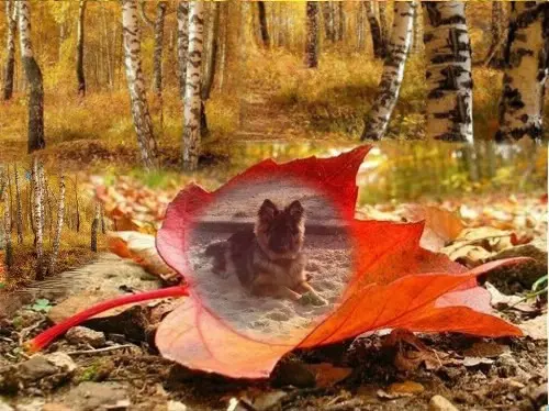 Condolence image of Dzień Dobry Misieńku❤️❤️❤️