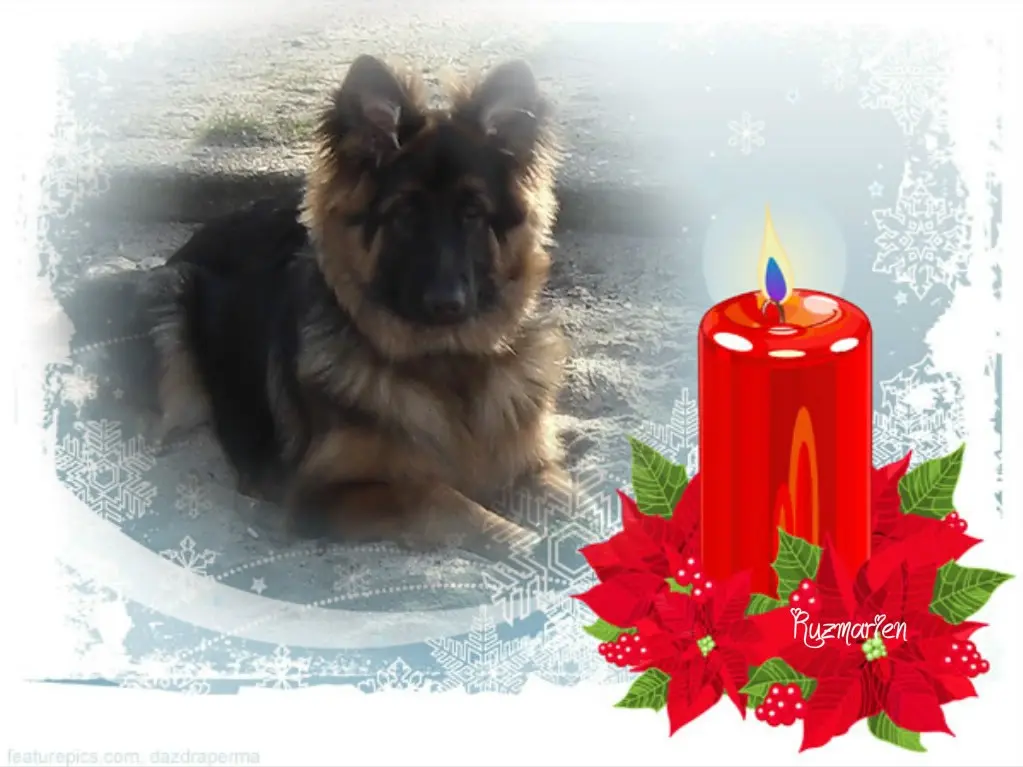 Condolence image of Dobrej Nocki Ukochany Misieńku❤️❤️❤️