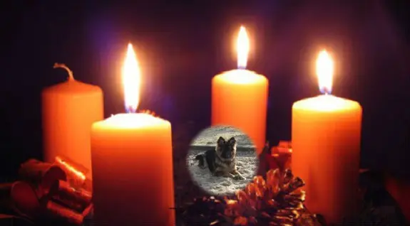 Condolence image of Dzień Dobry Misieńku❤️❤️❤️