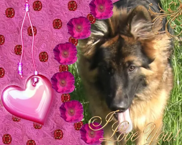 Condolence image of Dzień Dobry Misieńku❤️❤️❤️