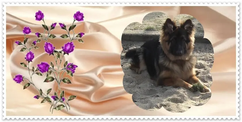 Condolence image of Dobry Wieczór mój Misieńku❤️❤️❤️