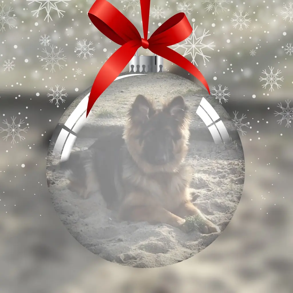 Condolence image of Dzień Dobry Misieńku❤️❤️❤️