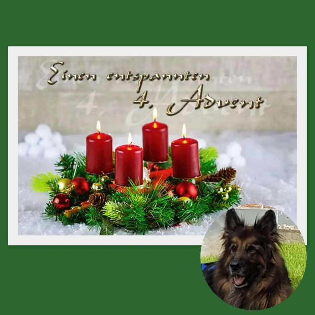 Condolence image of Dzień Dobry Misieńku❤️❤️❤️
