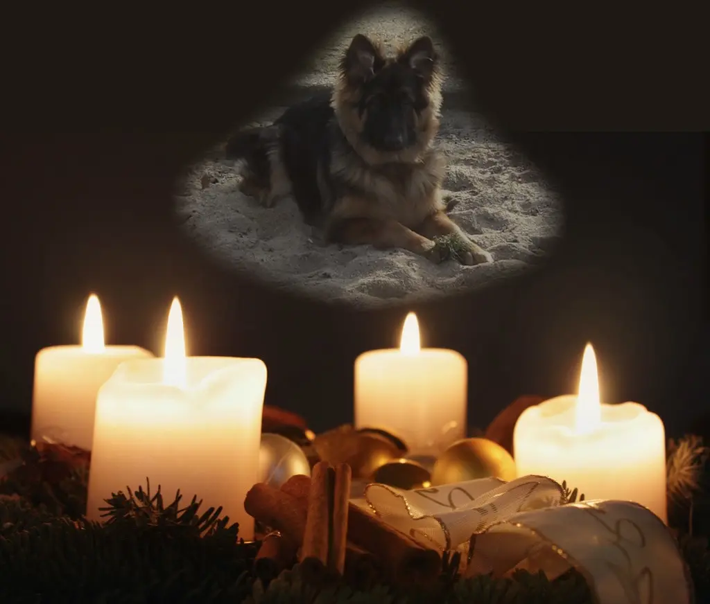 Condolence image of Dobrej Nocki Ukochany Misieńku❤️❤️❤️