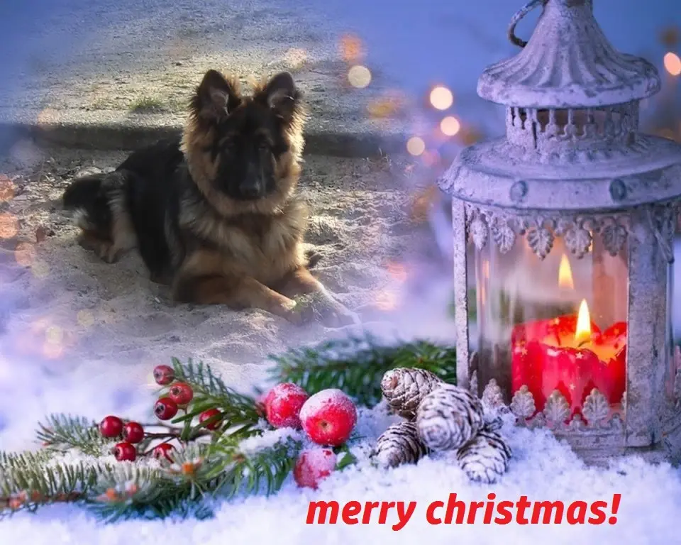 Condolence image of Dzień Dobry Misieńku❤️❤️❤️