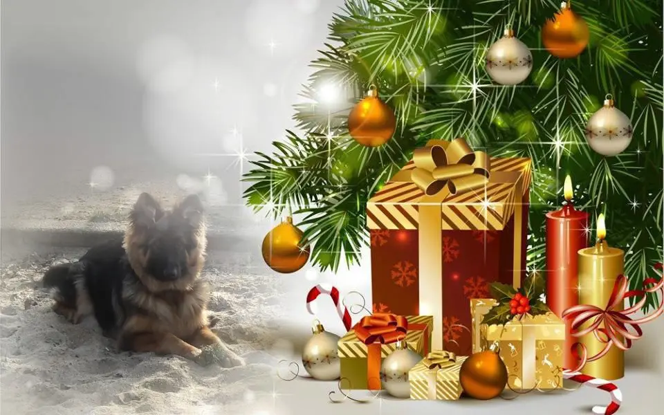 Condolence image of Dzień Dobry Misieńku❤️❤️❤️