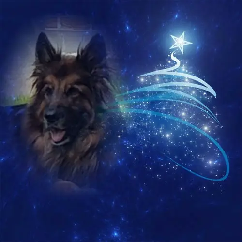 Condolence image of Dobrej Nocki Ukochany Misieńku❤️❤️❤️