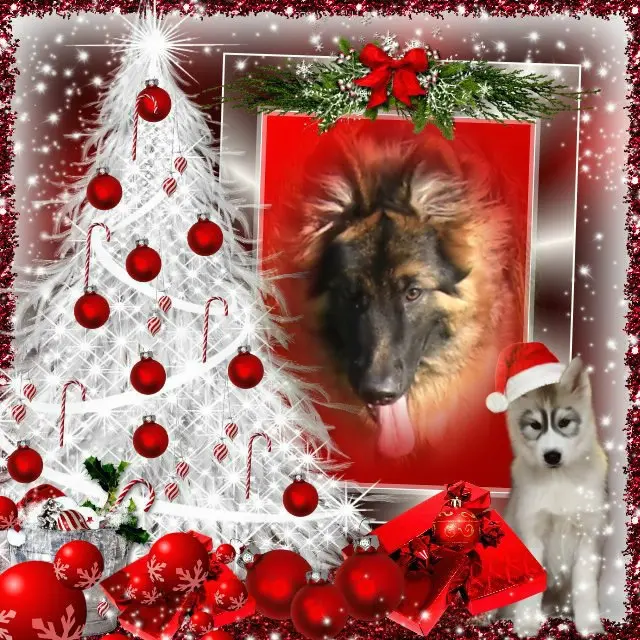 Condolence image of Dzień Dobry Misieńku❤️❤️❤️