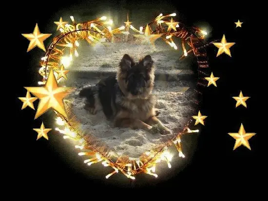 Condolence image of Dobrej Nocki Ukochany Misieńku❤️❤️❤️