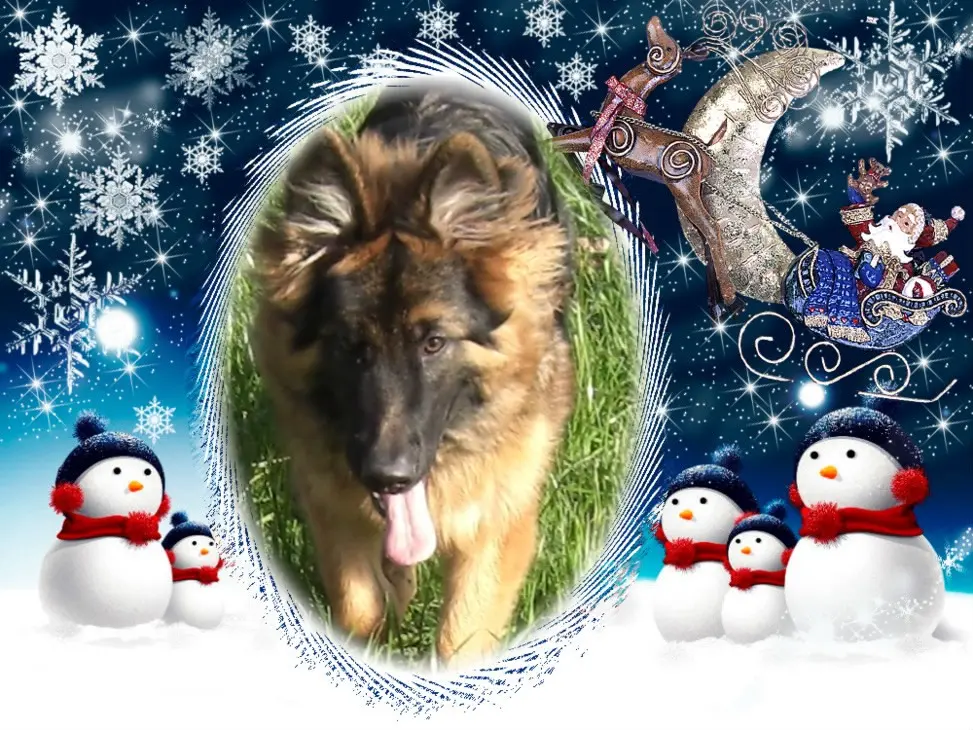 Condolence image of Dzień Dobry Misieńku❤️❤️❤️
