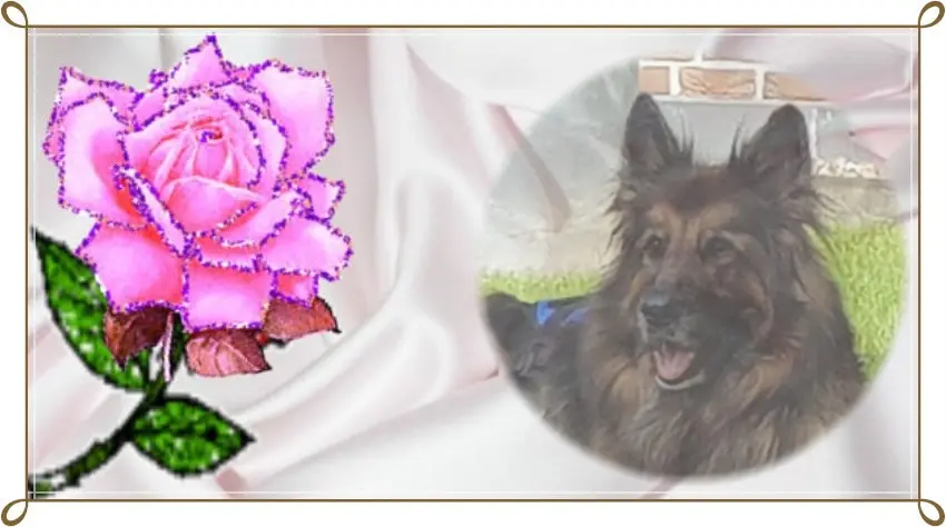 Condolence image of Dobry wieczór Ukochany❤️❤️❤️Misieńku❤️❤️❤️