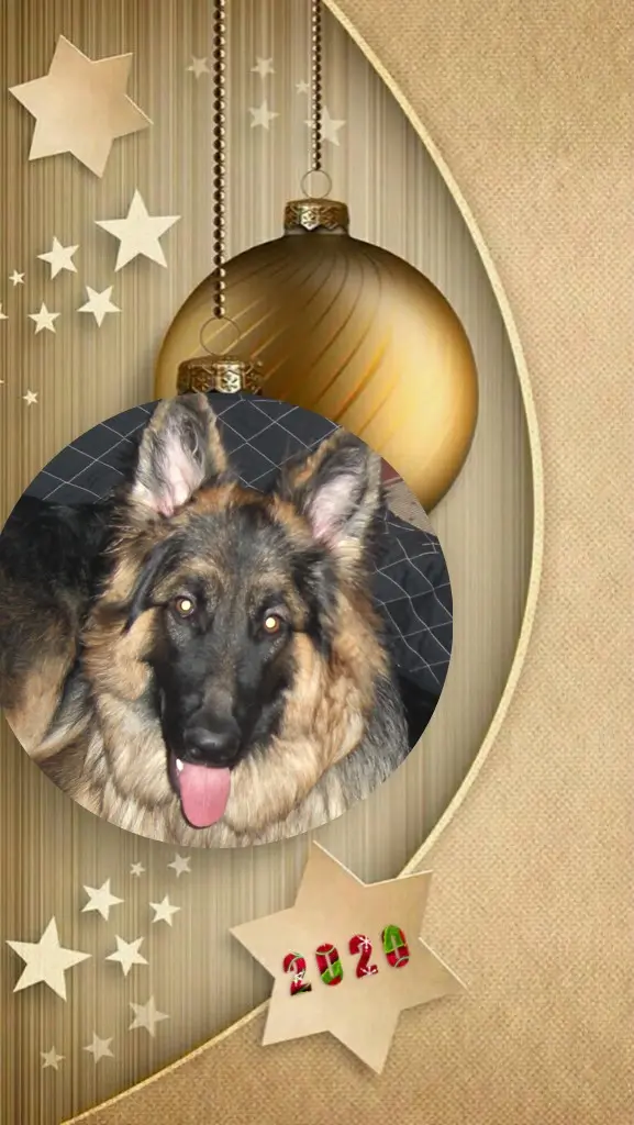 Condolence image of Dzień Dobry Misieńku❤️❤️❤️