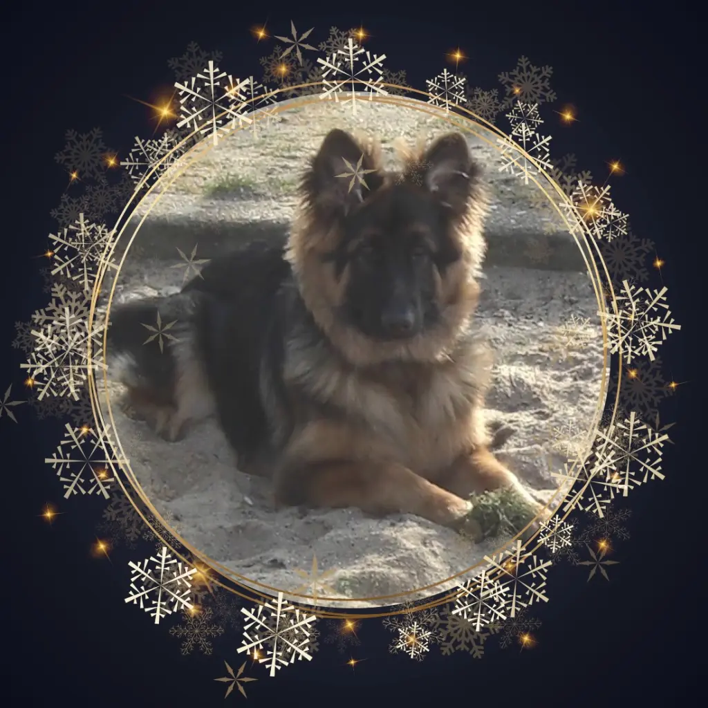 Condolence image of Dobrej Nocki Ukochany Misieńku❤️❤️❤️