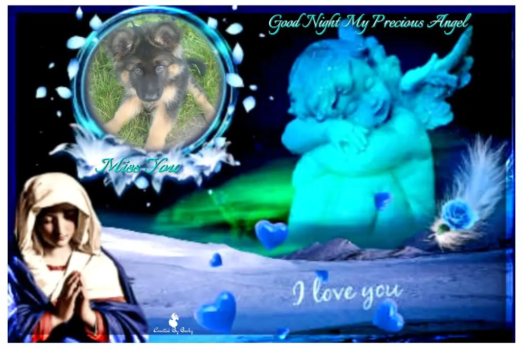 Condolence image of Dobrej Nocki Ukochany Misieńku❤️❤️❤️