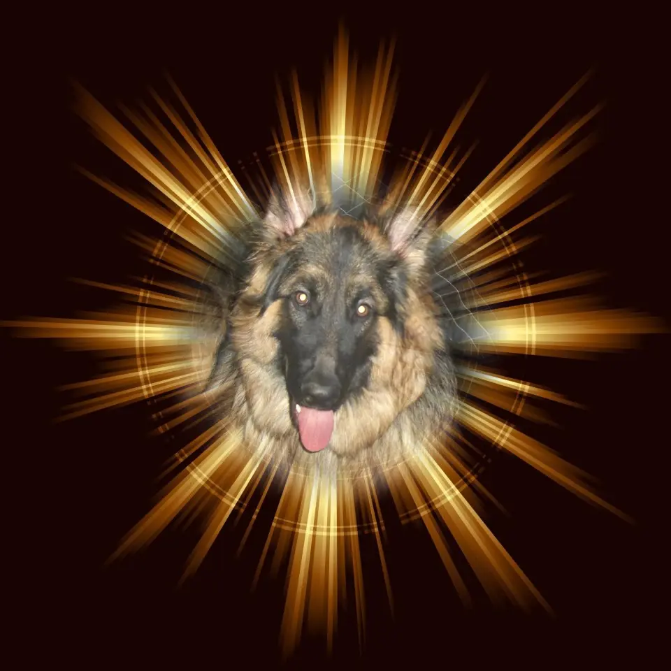 Condolence image of Dobrej Nocki Ukochany Misieńku❤️❤️❤️