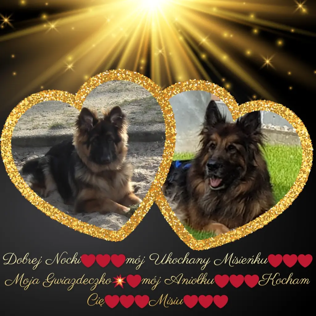 Condolence image of Dobrej Nocki Ukochany Misieńku❤️❤️❤️
