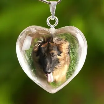 Condolence image of Dzień Dobry Misieńku❤️❤️❤️