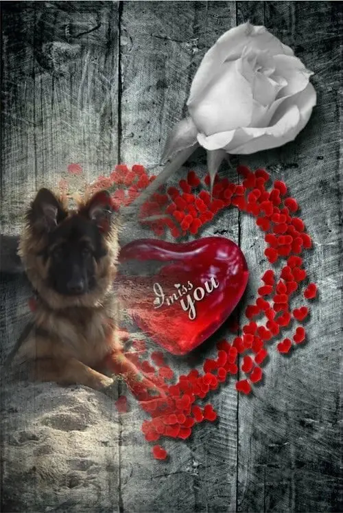Condolence image of Kocham Cię❤❤❤