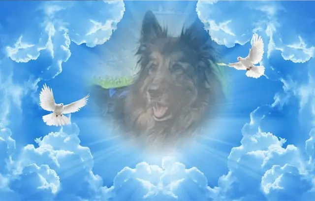 Condolence image of Dobrej Nocki Ukochany Misieńku❤️❤️❤️