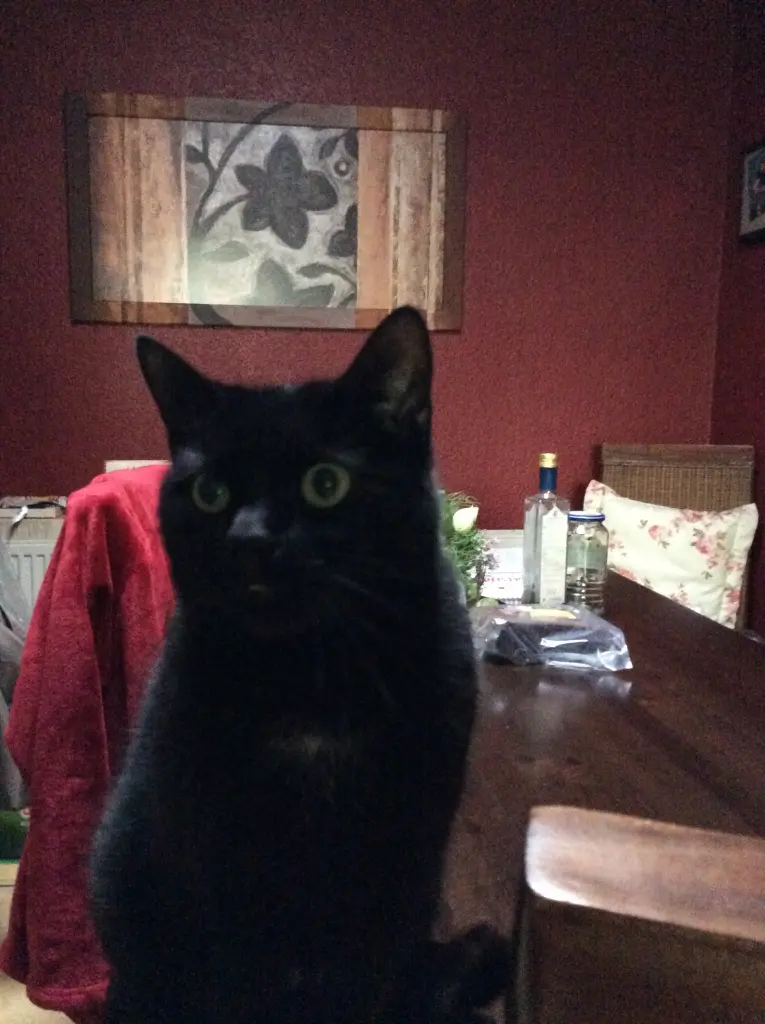 Condolence image of Heidi 