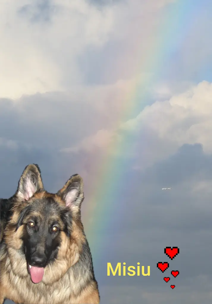 Condolence image of Ellen mit Lina ♥️