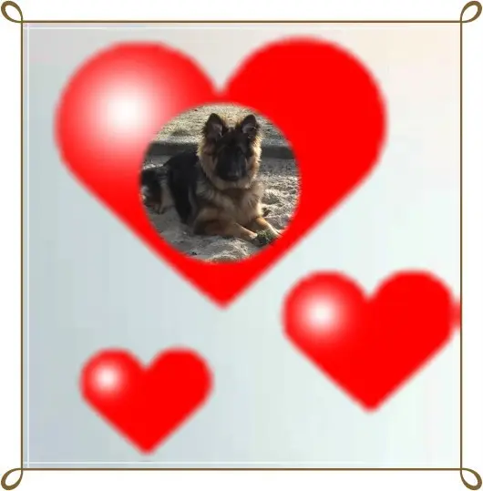 Condolence image of Dzień Dobry Misieńku❤️❤️❤️