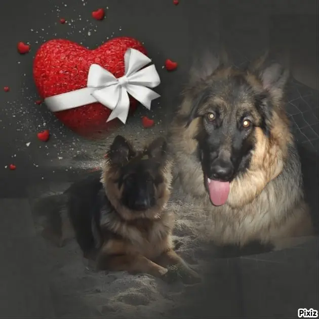 Condolence image of Dobrej Nocki Ukochany Misieńku❤️❤️❤️