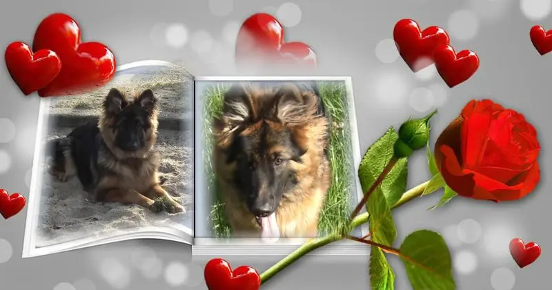 Condolence image of Ukochany❤️❤️❤️Misieńku❤️❤️❤️