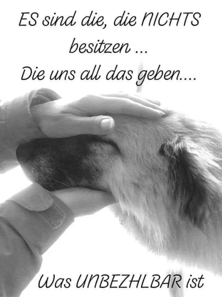 Condolence image of Ellen mit Lina ♥️