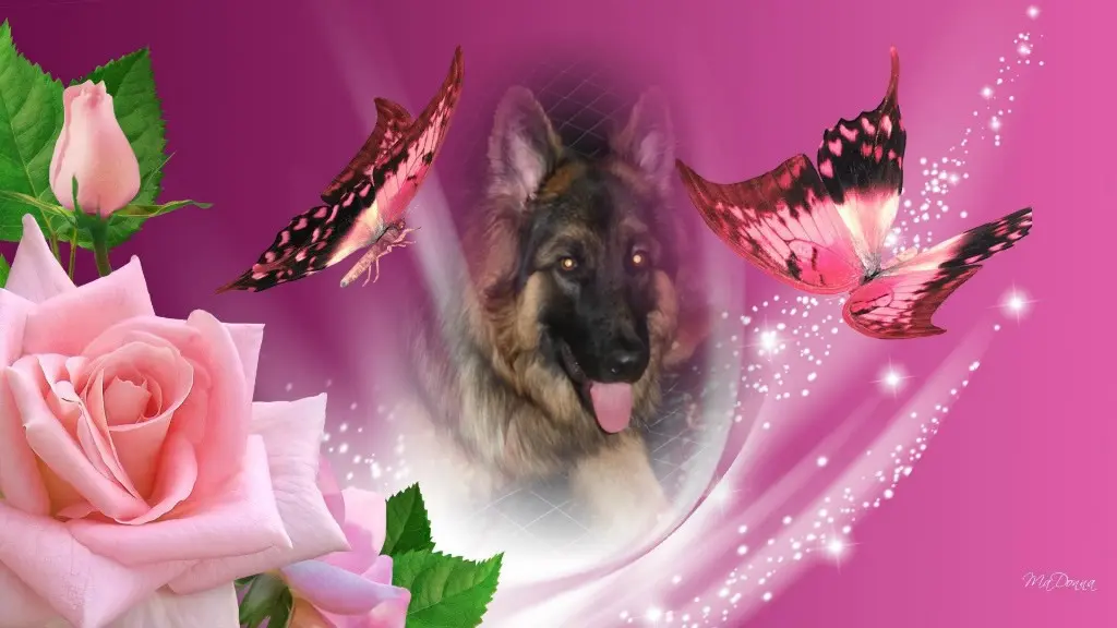 Condolence image of Dzień Dobry Misieńku❤️❤️❤️