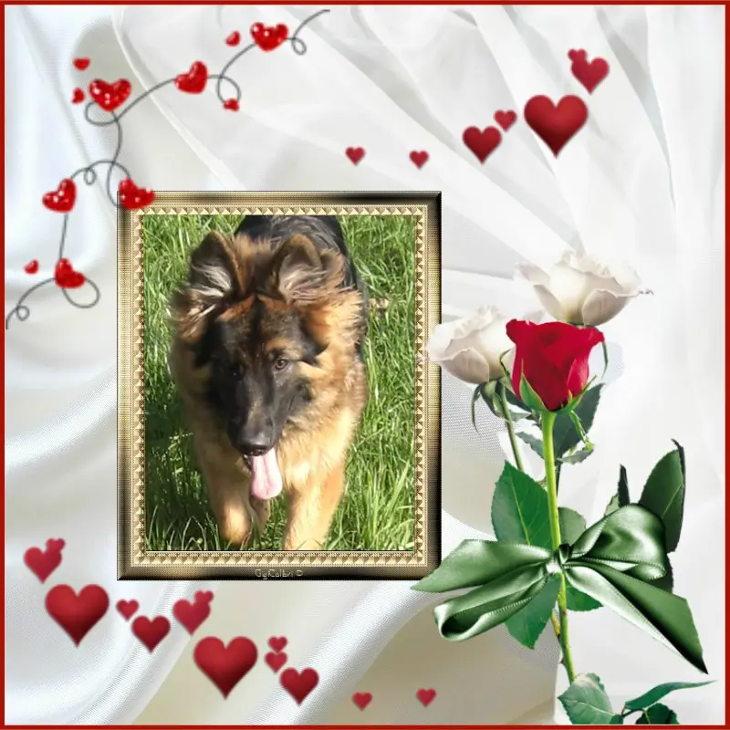 Condolence image of Fur Unsere Sonntags Sternchen❤️❤️❤️
