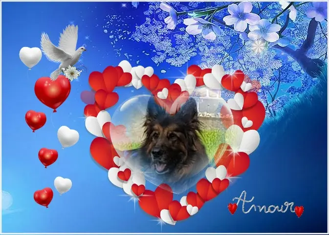 Condolence image of Dzień Dobry Misieńku❤️❤️❤️