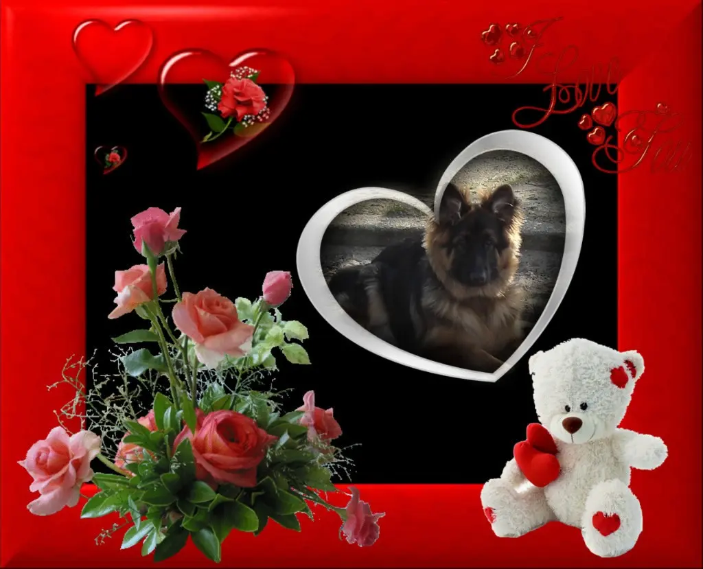 Condolence image of Dobrej Nocki Ukochany Misieńku❤️❤️❤️