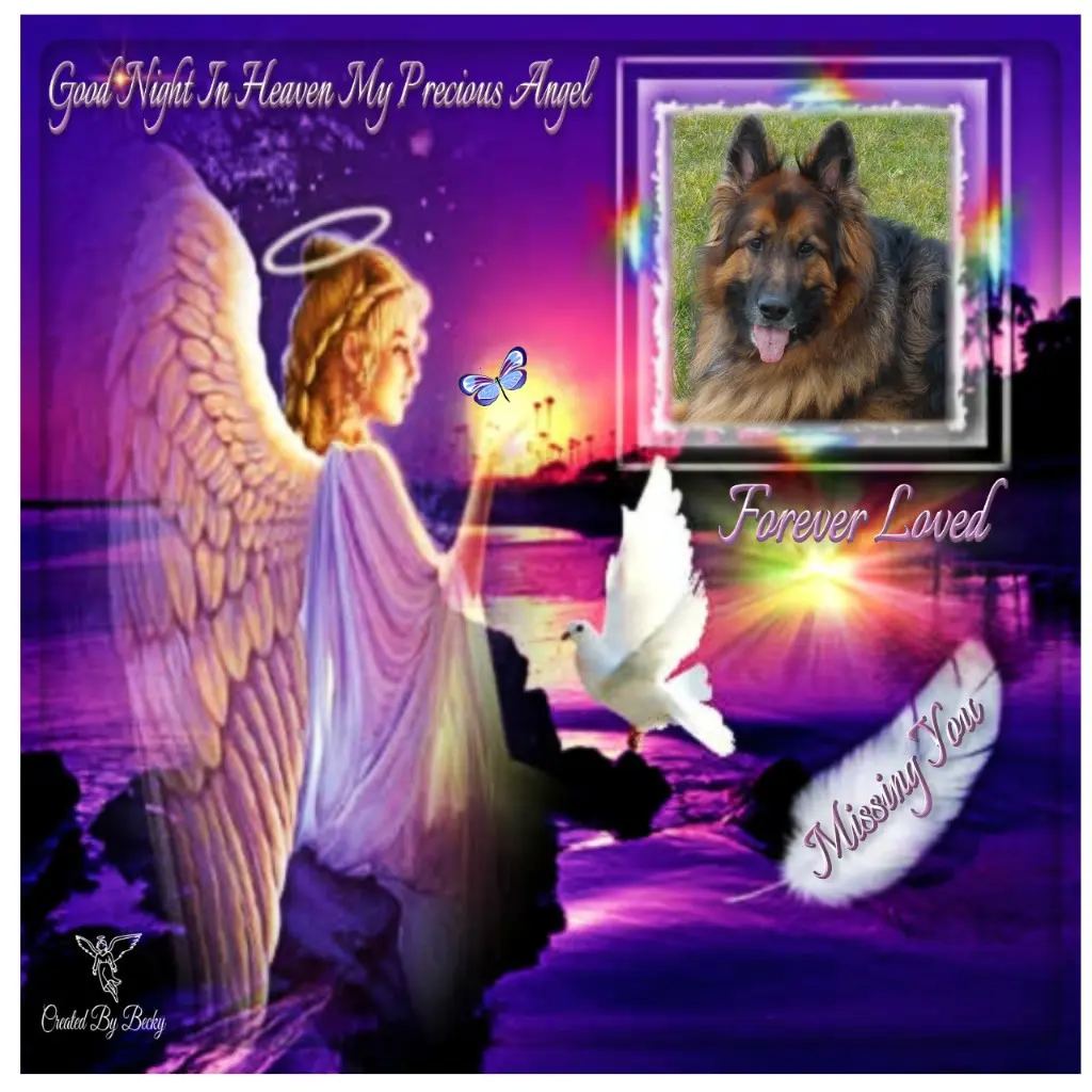 Condolence image of Dobrej Nocki Ukochany Misieńku❤️❤️❤️