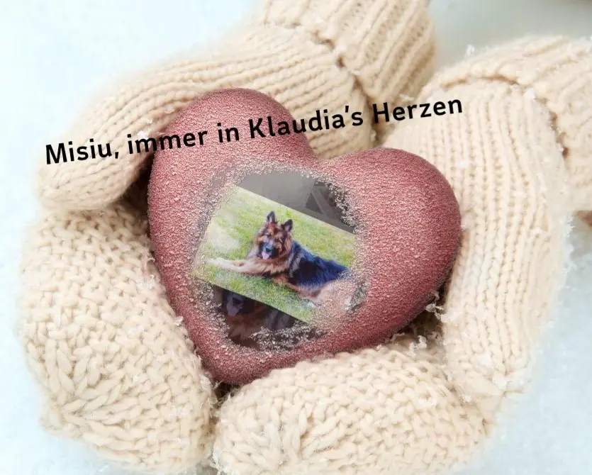 Condolence image of Ellen mit Lina ♥️