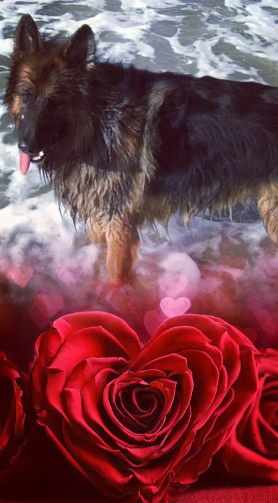 Condolence image of Ellen mit Lina ♥️