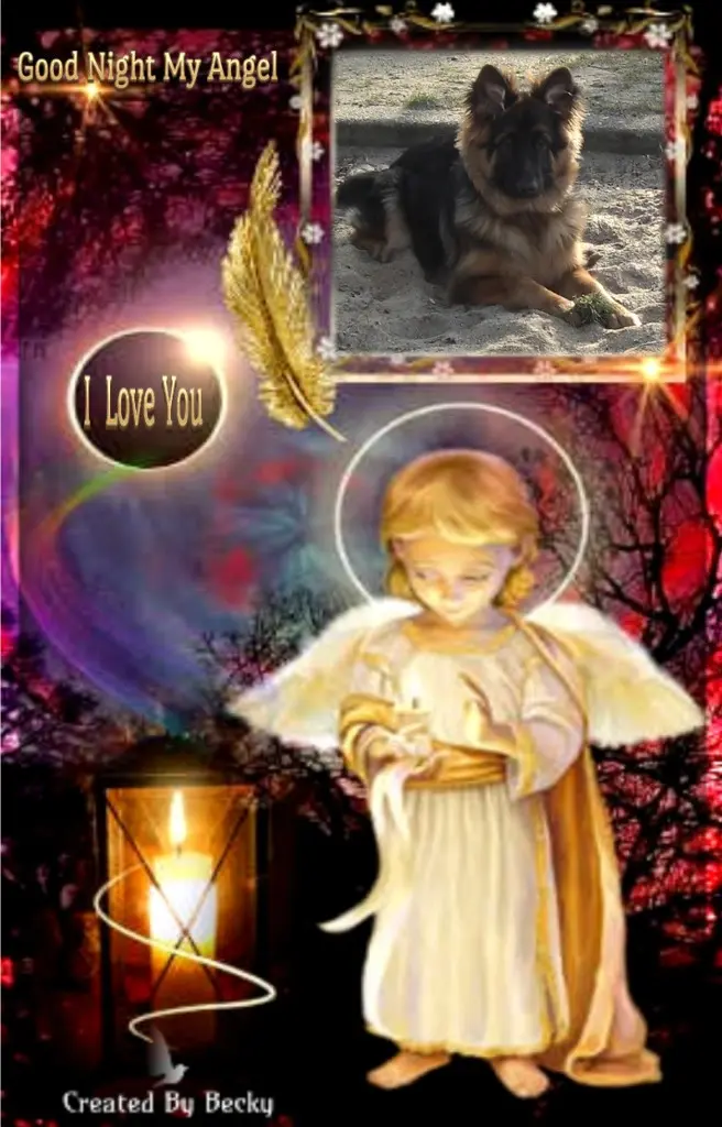 Condolence image of Dobrej Nocki Ukochany Misieńku❤️❤️❤️