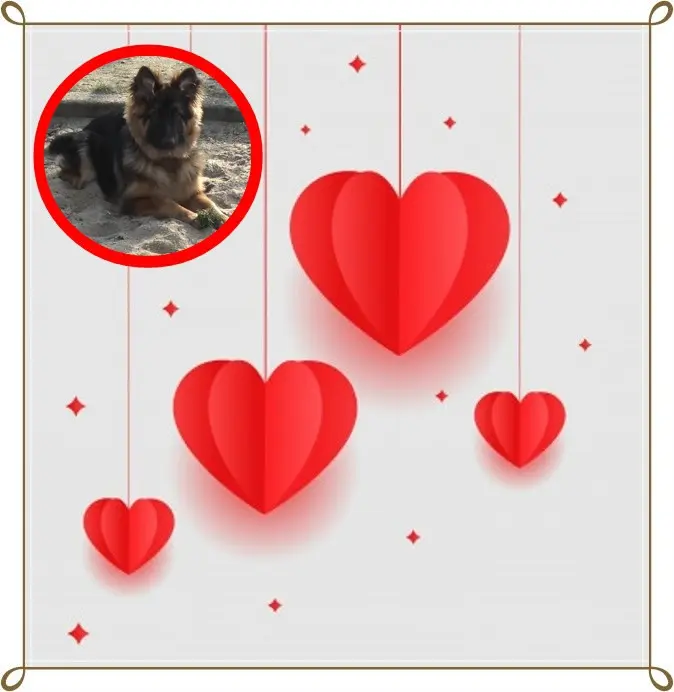Condolence image of Dzień Dobry Misieńku❤️❤️❤️