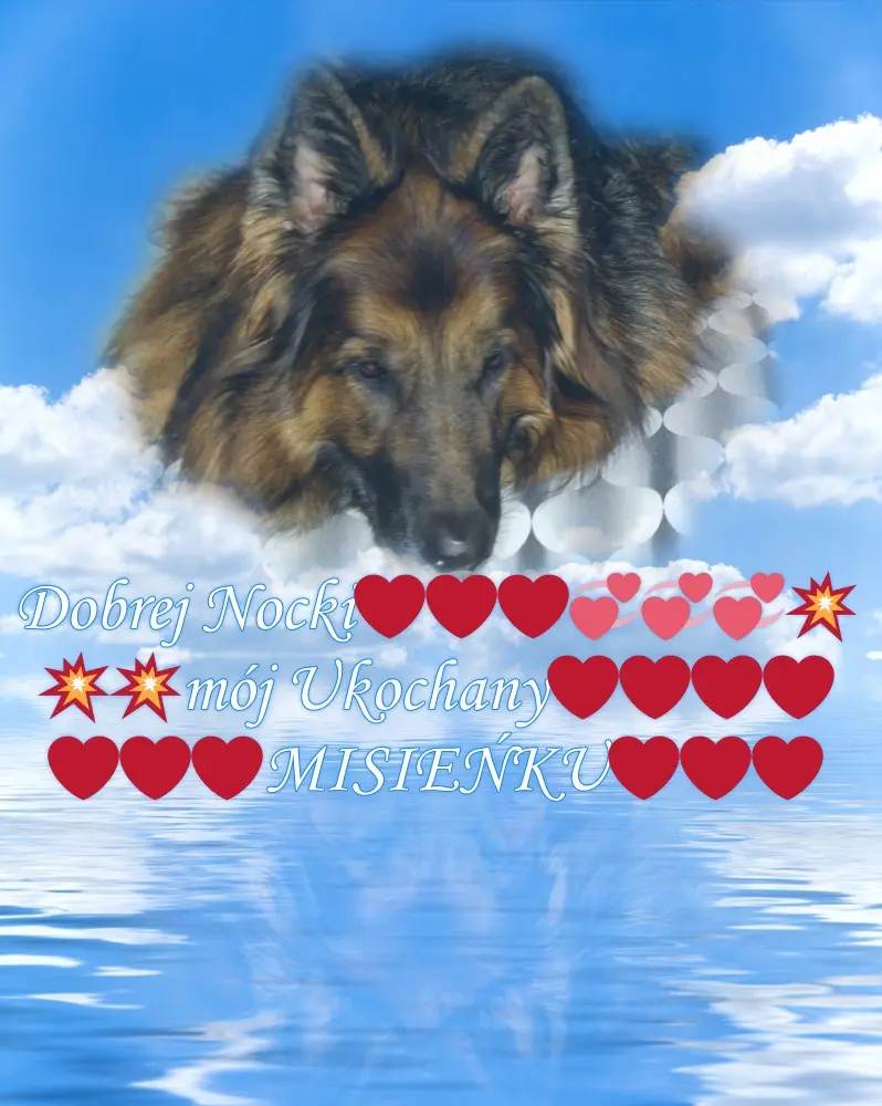Condolence image of Dobrej Nocki Ukochany Misieńku❤️❤️❤️