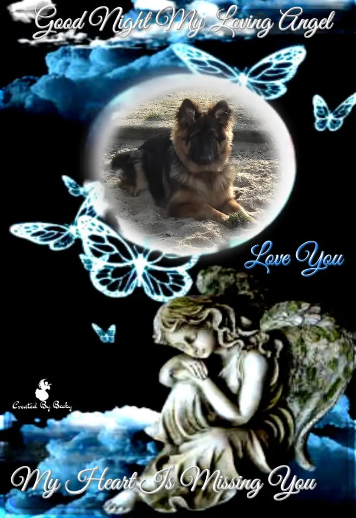 Condolence image of Dobrej Nocki Ukochany Misieńku❤️❤️❤️
