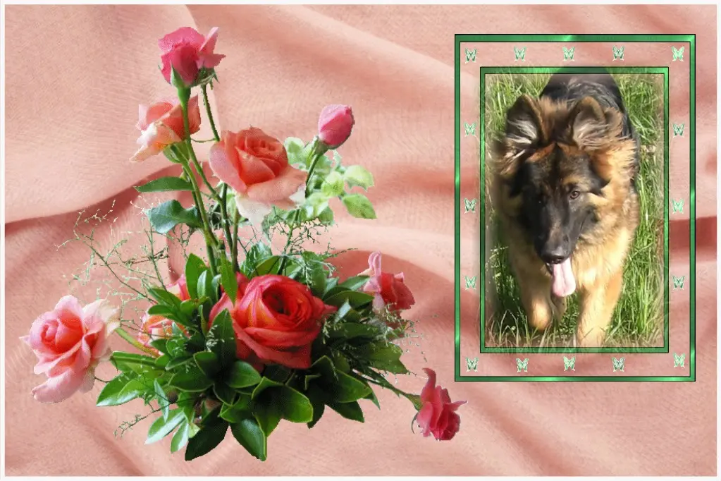Condolence image of Dzień Dobry mój Ukochany❤️❤️❤️Misieńku❤️❤️❤️