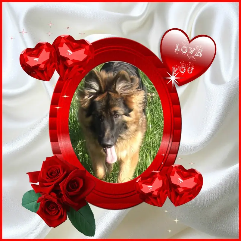 Condolence image of Mój Misiulek❤❤❤