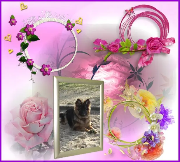 Condolence image of Mój Misiulek❤❤❤