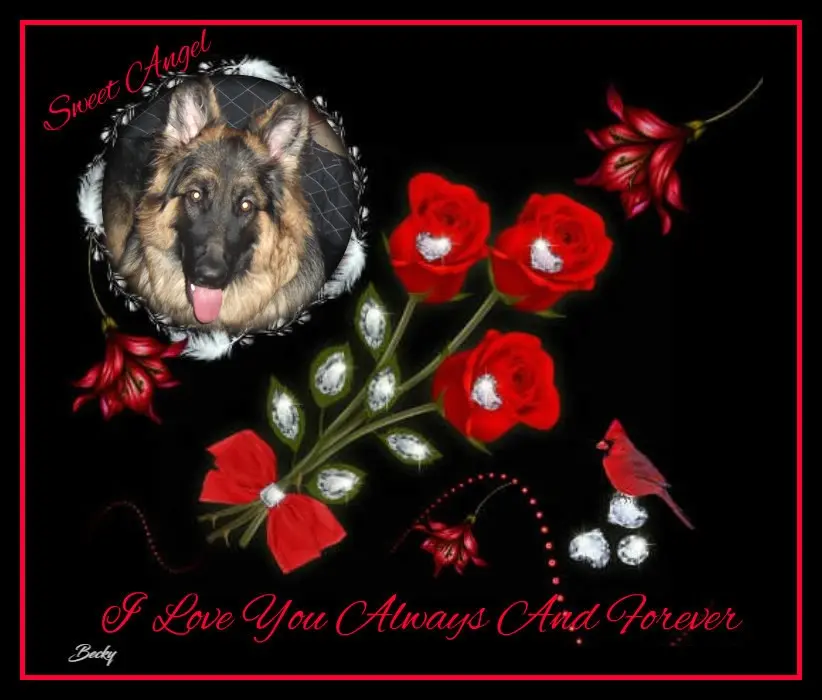 Condolence image of Dobrej Nocki Ukochany Misieńku❤️❤️❤️