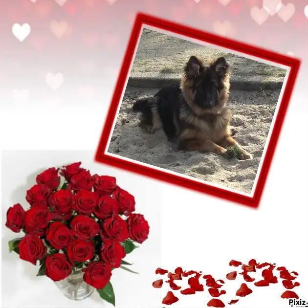 Condolence image of Dzień Dobry mój Ukochany❤️❤️❤️Misieńku❤️❤️❤️