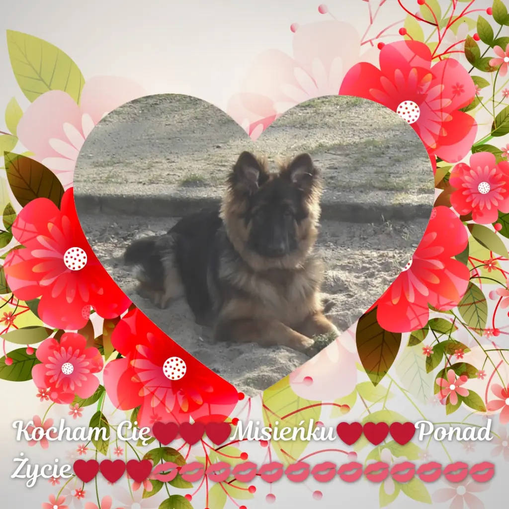Condolence image of Dzień Dobry mój Ukochany❤️❤️❤️Misieńku❤️❤️❤️