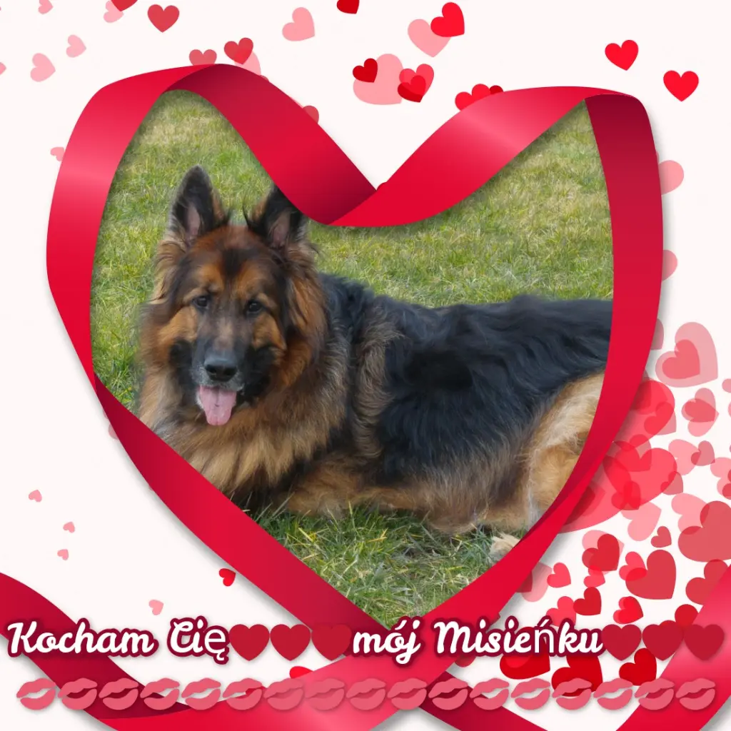 Condolence image of Dzień Dobry mój Ukochany❤️❤️❤️Misieńku❤️❤️❤️